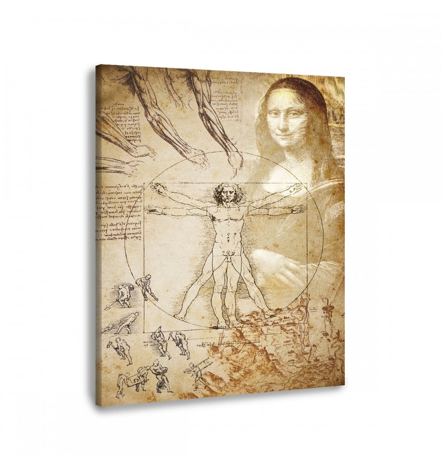 cuadro bocetos de Leonardo da Vinci monalisa