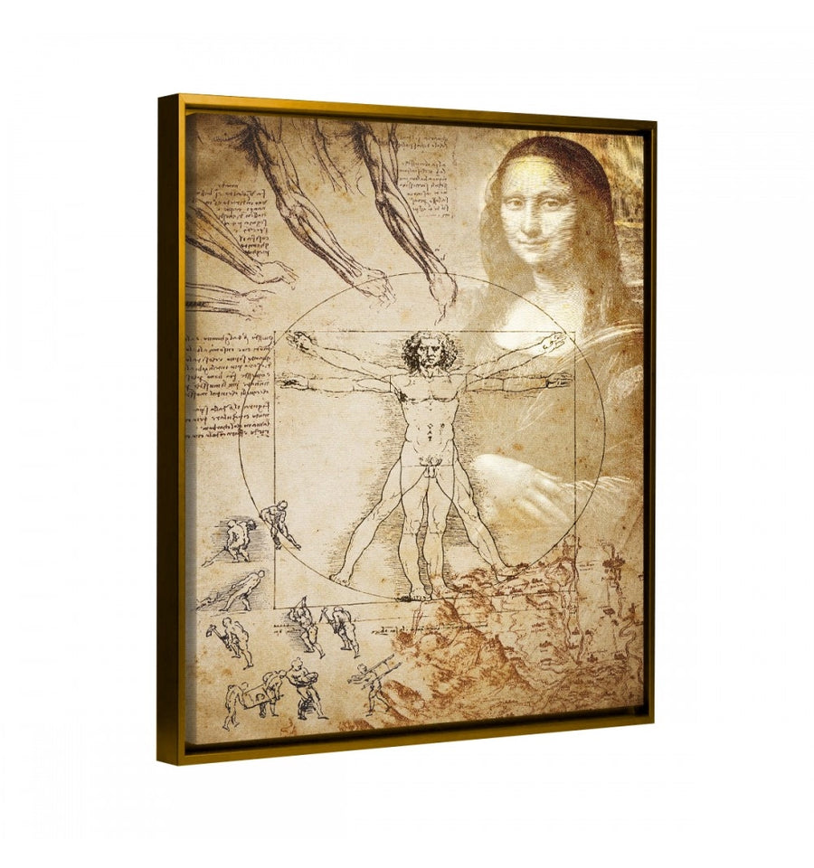 bocetos de Leonardo da Vinci con marco oro