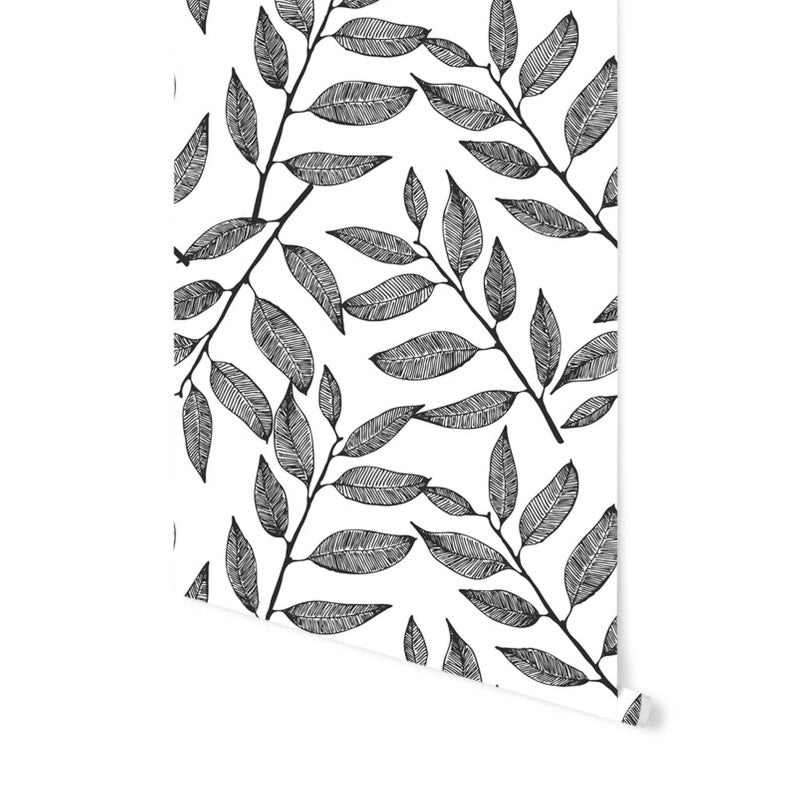 Eucalyptus Sketch