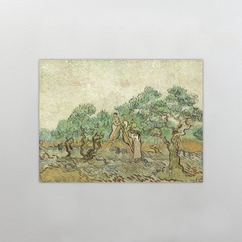 cuadro jardines de olivos de vicent van gogh colgado en una pared gris. cuadro moderno