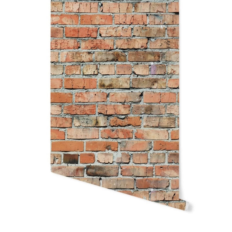Classic Bricks